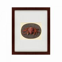 картина: krab, 1690 в Ростове-на-Дону