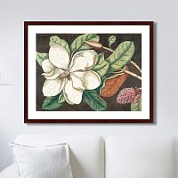 картина: beauty bloom №1, 1732г. в Ростове-на-Дону