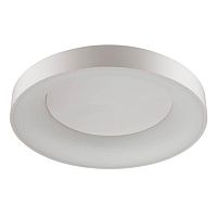 потолочный светодиодный светильник odeon light sole 4062/80cl в Ростове-на-Дону