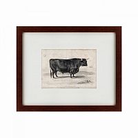 картина: a west highland bull, 1840 в Ростове-на-Дону
