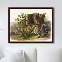 картина: jaguar, 1841г. в Ростове-на-Дону