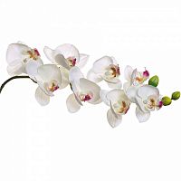 искусственный цветок орхидея белая 85 см в Ростове-на-Дону
