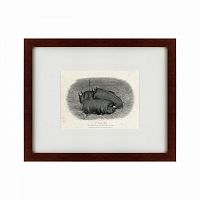 картина: a pen of three pigs, 1874 в Ростове-на-Дону