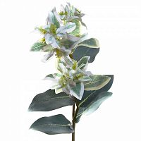 искусственный цветок китайский жасмин белый 75 см в Ростове-на-Дону