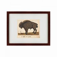 картина: bison, 1560 в Ростове-на-Дону