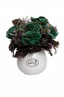 декоративный цветок dolora в Ростове-на-Дону