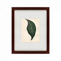 картина: the leaf, 1871 в Ростове-на-Дону