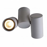 потолочный светильник divinare gavroche 1354/03 pl-2 в Ростове-на-Дону