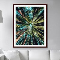 картина: deep forest в Ростове-на-Дону