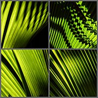 пластификация клавиши 100*100 в Ростове-на-Дону