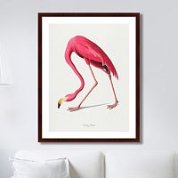 картина: американский фламинго (литография), 1822г. в Ростове-на-Дону