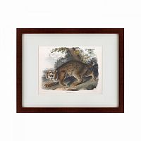 картина: bobcat, 1839 в Ростове-на-Дону