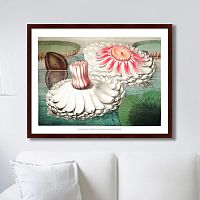 картина: water lily during bloom, 1870г. в Ростове-на-Дону