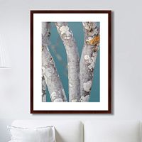 картина: trees on the galapagos islands, ecuador no1 в Ростове-на-Дону