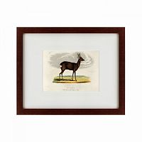 картина: a roebuck, 1830 в Ростове-на-Дону