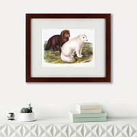 картина: arctic fox, 1847 в Ростове-на-Дону