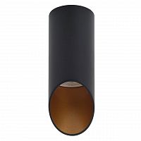 потолочный светильник denkirs dk2011-bk в Ростове-на-Дону