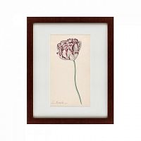 картина: tulp №2, 1815 в Ростове-на-Дону