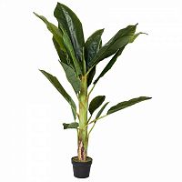 декор банановый куст в Ростове-на-Дону