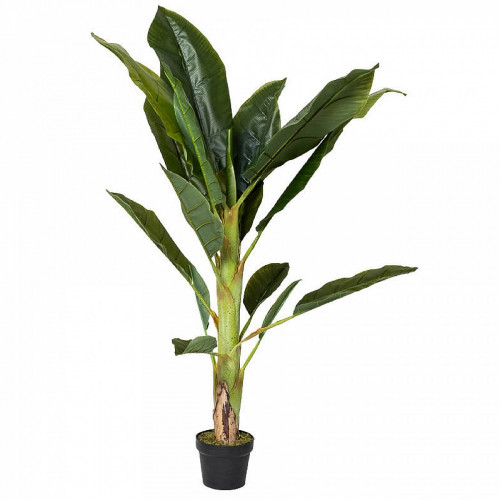 декор банановый куст в Ростове-на-Дону