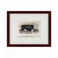 картина: a hereford bull, 1849 в Ростове-на-Дону