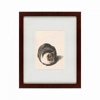 картина: seated cat, seen from the front, 1837 в Ростове-на-Дону