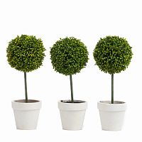набор из 3 декоративных растений в горшке tallman в Ростове-на-Дону