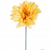гербера жёлтая 79 см (24) в Ростове-на-Дону