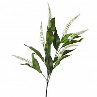 итея белая 84 см (36) в Ростове-на-Дону