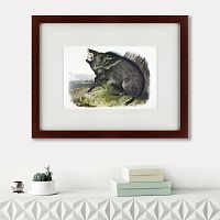 картина: ошейниковый пекари, 1845-48 в Ростове-на-Дону