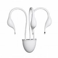 бра lightstar cigno collo wt 751636 в Ростове-на-Дону