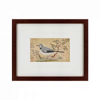 картина: the bird, персия, 1634 в Ростове-на-Дону