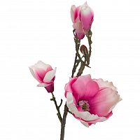 магнолия нежно-розовая 66 см (12) в Ростове-на-Дону