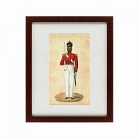 картина: colonel godlieb james van someren, madras infantry, 1889 в Ростове-на-Дону
