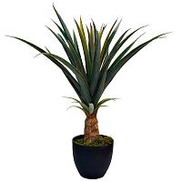 декоративное растение куст ананаса в горшке 73 см в Ростове-на-Дону