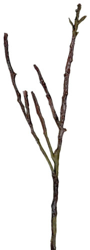 декор dry branches в Ростове-на-Дону