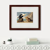 картина: king duck, 1827 в Ростове-на-Дону