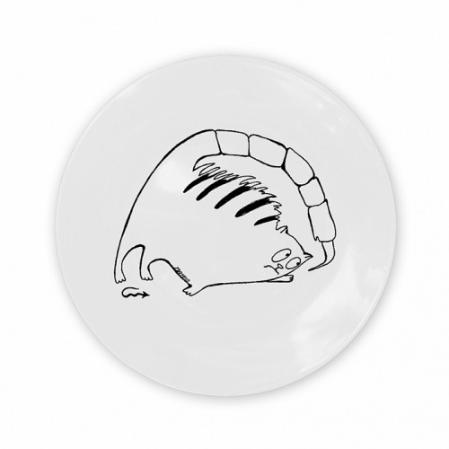 тарелка кот-скорпион в Ростове-на-Дону