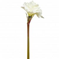 амариллис кремовый 88 см в Ростове-на-Дону