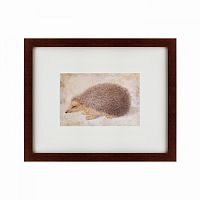 картина: a hedgehog, 1584 в Ростове-на-Дону