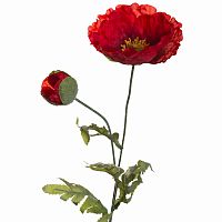 мак красный 72 см (24) в Ростове-на-Дону