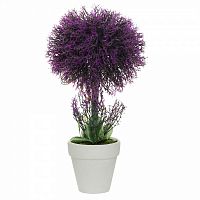 декоративное растение лаванда в горшочке 31 см в Ростове-на-Дону