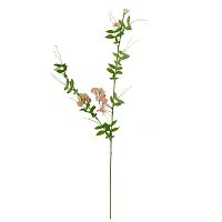 декоративное растение душистый горошек розовый 105 см в Ростове-на-Дону