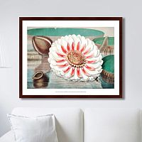 картина: a gigantic water lily in bloom, 1870г. в Ростове-на-Дону