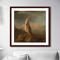 картина: the kongouro from new holland, 1772г. в Ростове-на-Дону