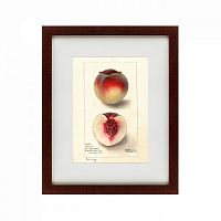 картина: watercolor collection, drawing №4, 1905 в Ростове-на-Дону