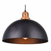 подвесной светильник arte lamp eurica a4249sp-1bk в Ростове-на-Дону