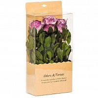 цветочная композиция розы фиолетовые 18х9х28 см в Ростове-на-Дону