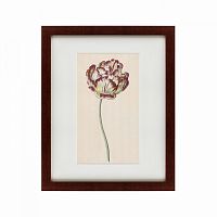 картина: tulp №1, 1815 в Ростове-на-Дону