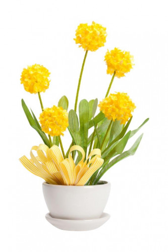 декоративный цветок parsel в Ростове-на-Дону